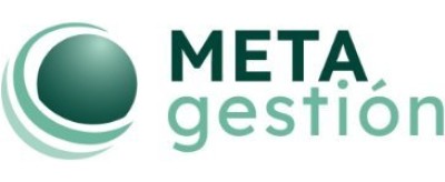 METAGESTIN, SGIIC SAU
