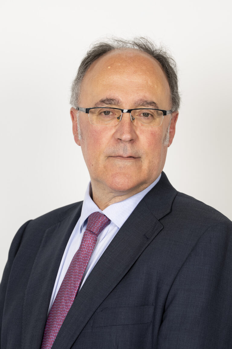 José Luis Manrique